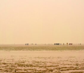 Chandipur beach balasore odisha